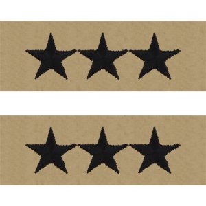 Navy Embroidered Collar Device: Vice Admiral, embroidered on desert