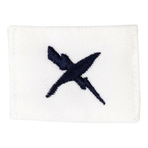 Navy Rating Badge: Striker Mark for CT Cryptologic Technician, white CNT for dress uniforms