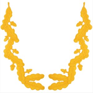 Navy Scrambled Eggs: For Captain/Commander Ranks