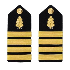 Navy Shoulder Board: Captain Dental Corps, male