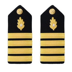 Navy Shoulder Board: Captain Medical Corps, male
