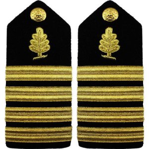 Navy Shoulder Board: Captain Medical Service, male