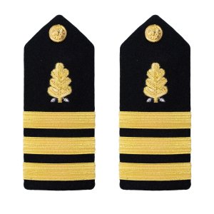 Navy Shoulder Board: Commander Dental Corps, male