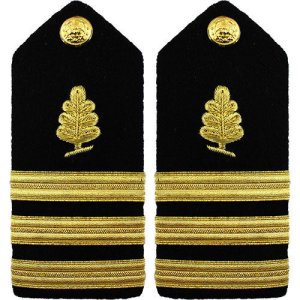 Navy Shoulder Board: Commander Medical Service, female
