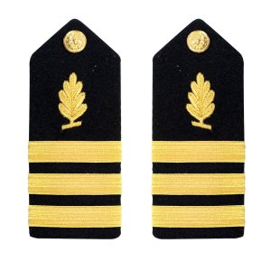 Navy Shoulder Board: Commander Medical Service, male