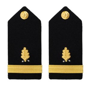 Navy Shoulder Board: Ensign Dental Corps, female