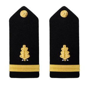 Navy Shoulder Board: Ensign Dental Corps, male