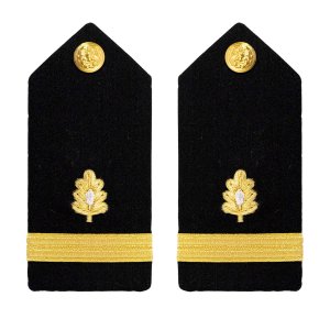 Navy Shoulder Board: Ensign Medical Corps, female