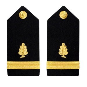 Navy Shoulder Board: Ensign Medical Service, female
