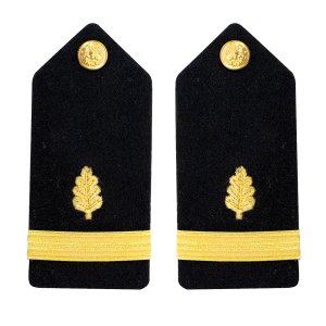 Navy Shoulder Board: Ensign Nurse Corps, female