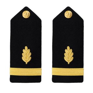 Navy Shoulder Board: Ensign Nurse Corps, male