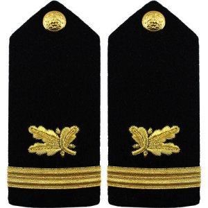 Navy Shoulder Board: Ensign Supply Corps, male
