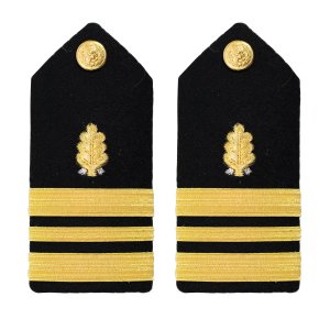 Navy Shoulder Board: Lieutenant Commander Dental Corps, female
