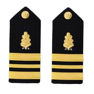 Navy Shoulder Board: Lieutenant Commander Dental Corps, male