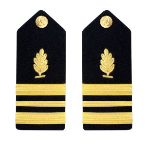Navy Shoulder Board: Lieutenant Commander Medical Service, male