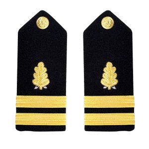 Navy Shoulder Board: Lieutenant Dental Corps, male