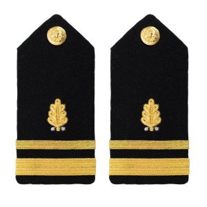 Navy Shoulder Board: Lieutenant Junior Grade Dental Corps, female