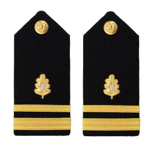 Navy Shoulder Board: Lieutenant Junior Grade Medical Corps, female
