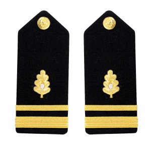 Navy Shoulder Board: Lieutenant Junior Grade Medical Corps, male