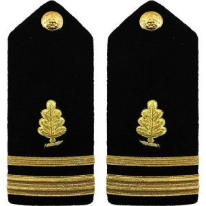 Navy Shoulder Board: Lieutenant Junior Grade Medical Service, female