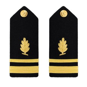 Navy Shoulder Board: Lieutenant Junior Grade Medical Service, male