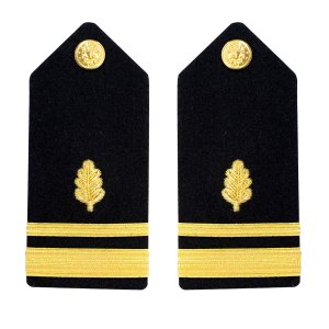 Navy Shoulder Board: Lieutenant Junior Grade Nurse Corps, female
