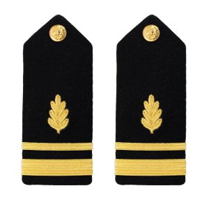 Navy Shoulder Board: Lieutenant Junior Grade Nurse Corps, male