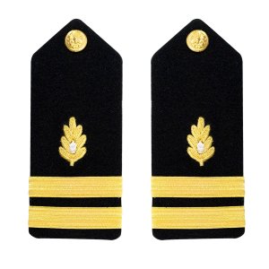 Navy Shoulder Board: Lieutenant Medical Corps, male