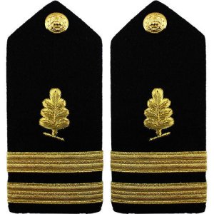 Navy Shoulder Board: Lieutenant Medical Service, female
