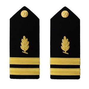 Navy Shoulder Board: Lieutenant Medical Service, male
