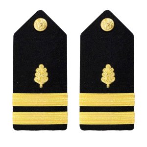 Navy Shoulder Board: Lieutenant Nurse Corps, female