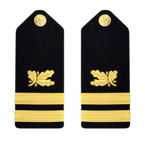 Navy Shoulder Board: Lieutenant Supply Corps, male
