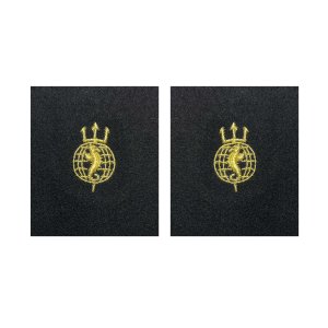 Navy Sleeve Device: Acoustic Technician