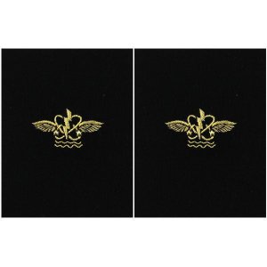 Navy Sleeve Device: Aviation Antisubmarine Warfare Operator