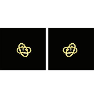 Navy Sleeve Device: Electronics Technician