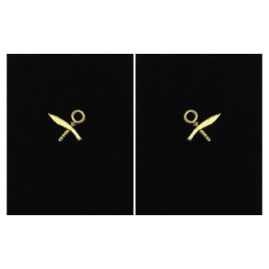 Navy Sleeve Device: Intelligence Specialist