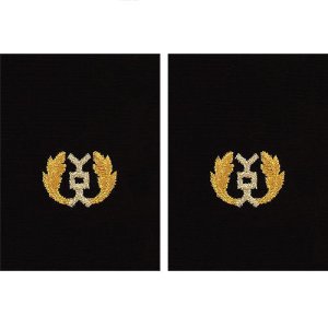 Navy Sleeve Device: Judge Advocate