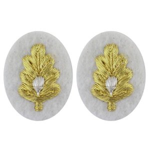 Navy Sleeve Device: Medical Corps, synthetic gold embroidered on white
