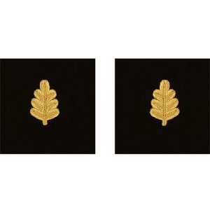Navy Sleeve Device: Nurse Corps