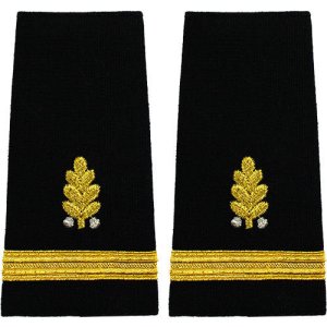 Navy Soft Shoulder Mark: Ensign Dental Corps