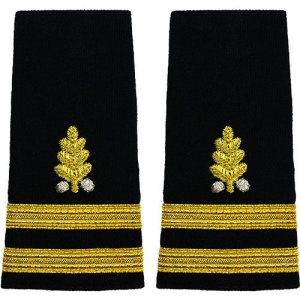 Navy Soft Shoulder Mark: Lieutenant Dental Corps