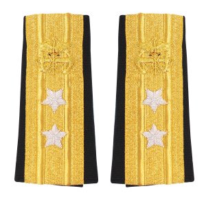 Public Health Service Soft Shoulder Mark: Rear Admiral 2 Star