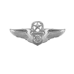 Air Force Badge: Air Battle Manager: Master, miniature