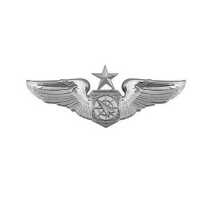 Air Force Badge: Air Battle Manager: Senior, miniature