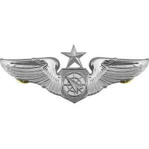 Air Force Badge: Air Battle Manager: Senior, regulation size