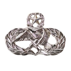 Air Force Badge: Air Maintenance: Master, regulation size