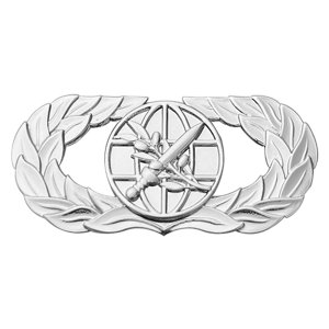 Air Force Badge: Basic Foreign Area Officer Career Field, regulation size
