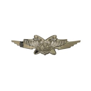 Air Force Badge: Basic Multi Domain Warfare Officer, mid-size