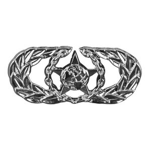 Air Force Badge: Basic Safety, midsize