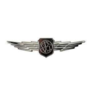 Air Force Badge: Basic Weather & Environmental Science, regulation size